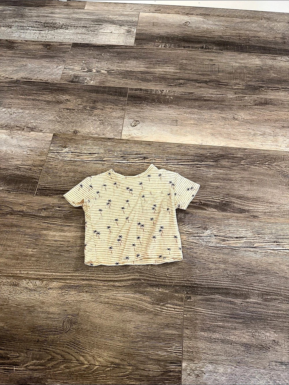 Zara Striped Short Sleeve Tee Baby 3-6M